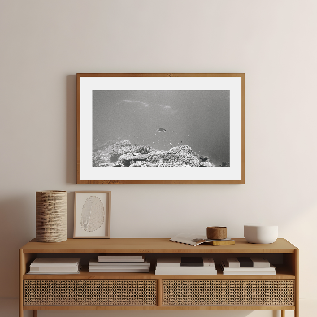 Reefscape (three)